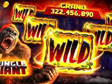 Live Dealer Tables